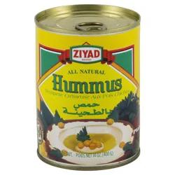 Ziyad All Natural Hummus